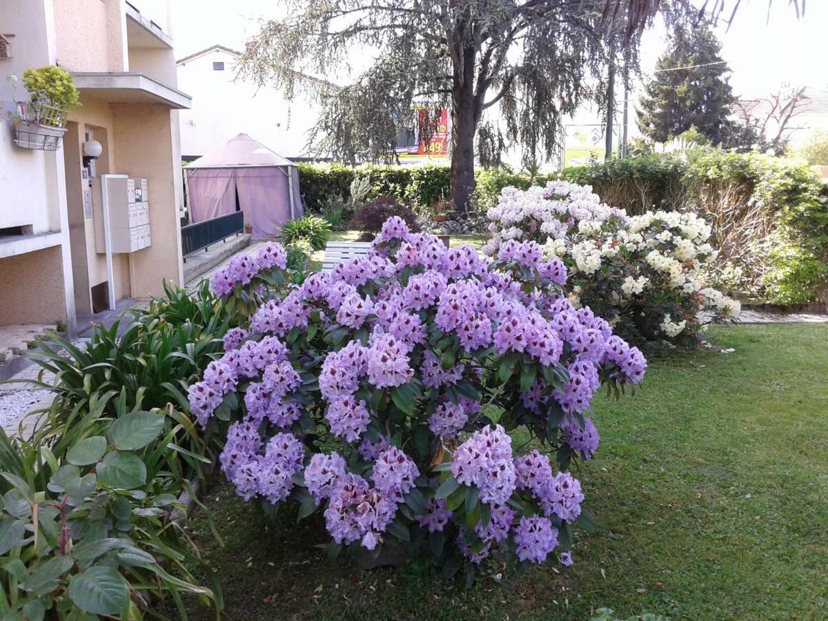 Appartement Les Floralies à Pau Extérieur photo